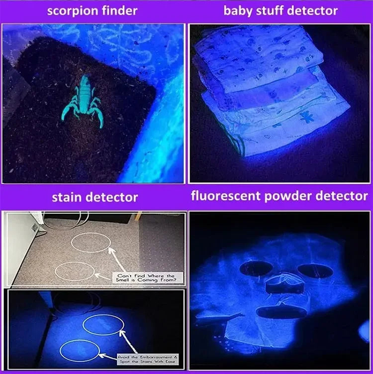 UV Blacklight Flashlight — USB Rechargeable