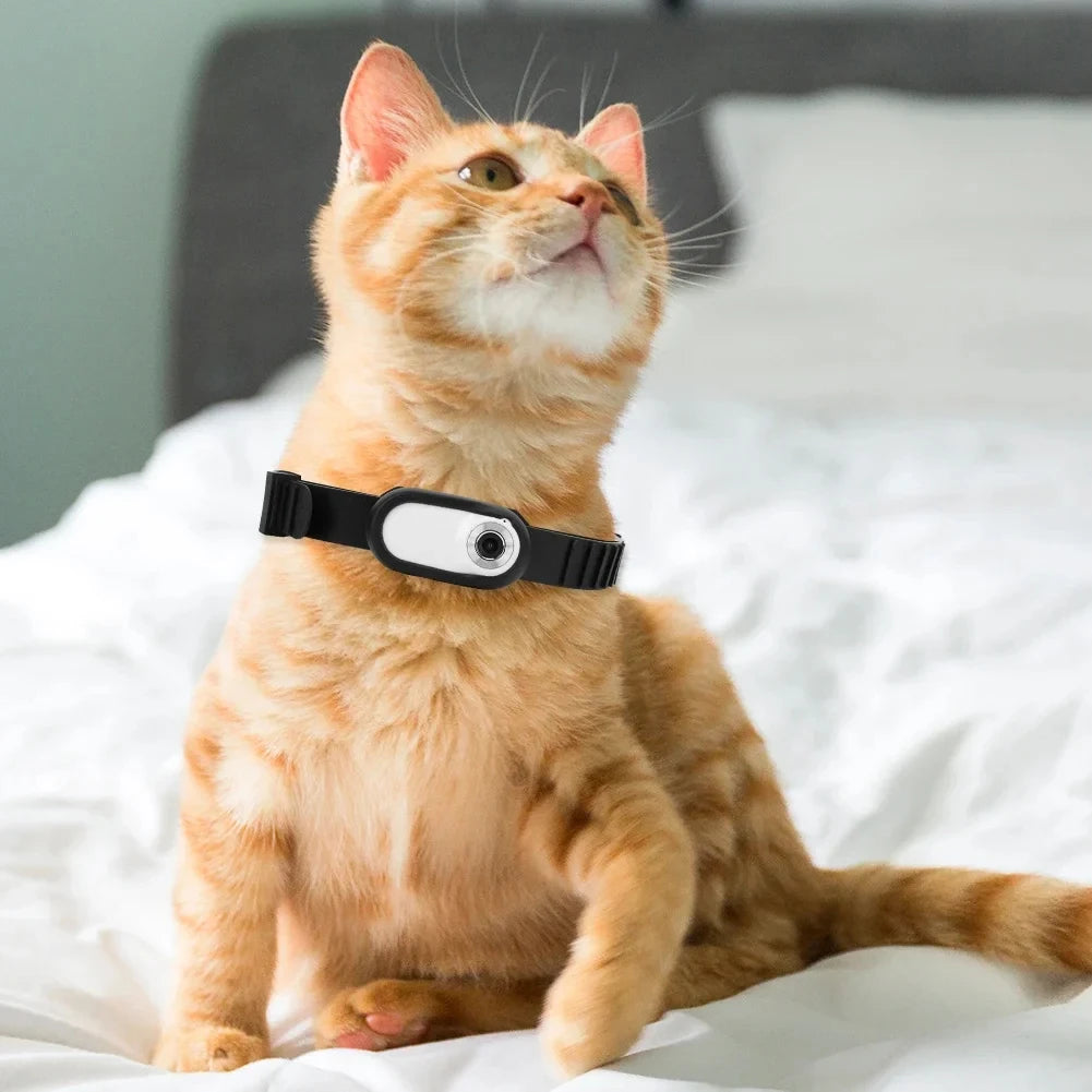 Mini Pet Collar Camera — HD 1080P, USB Rechargeable, Lightweight Clip-On