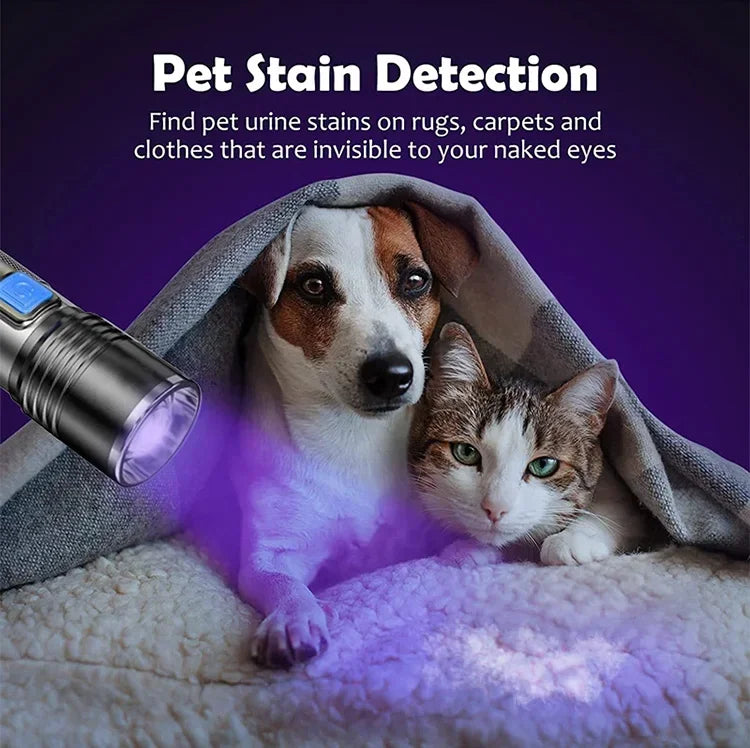 UV Blacklight Flashlight — USB Rechargeable